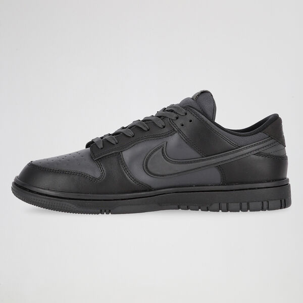 Zapatillas Nike Dunk Low GORE-TEX Hombre