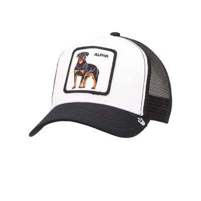 Gorra Goorin Baseball Alpha Dog