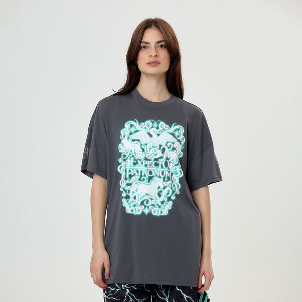 Remera Puma x Harry Potter