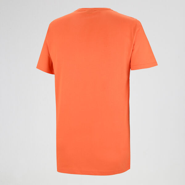 Remera Puma Franchise Aop Hombre