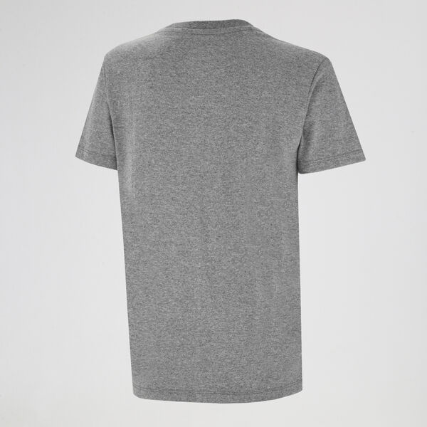Remera Vans Flying V Mujer