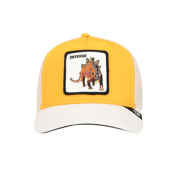 Gorra Goorin Roofed Lizard