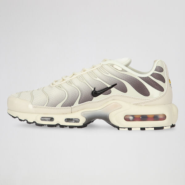 Zapatillas Nike Air Max Plus Hombre