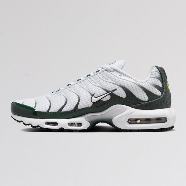 Zapatillas Nike Air Max Plus Hombre