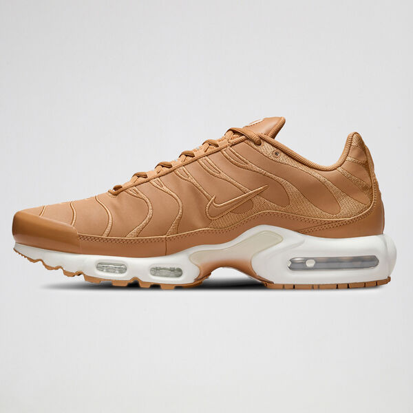 Zapatillas Nike Air Max Plus Hombre
