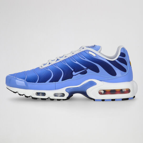 Zapatillas Nike Air Max Plus Hombre