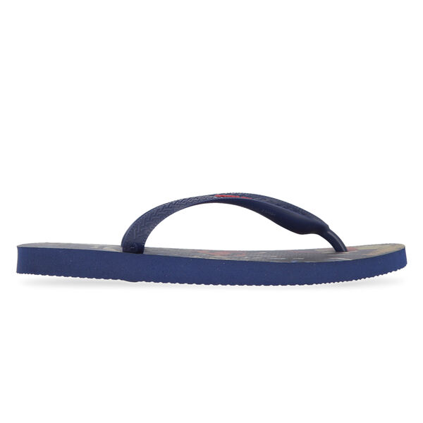Ojotas Havaianas Top Herois Dc