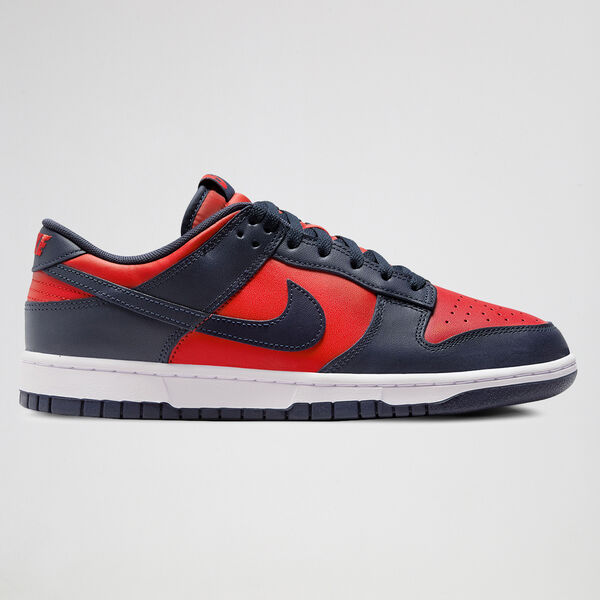 Zapatillas Nike Dunk Low Retro para Hombre