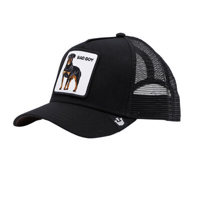 Gorra Goorin Baseball The Baddest