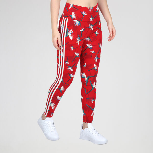 Calza adidas Thebe Magugu