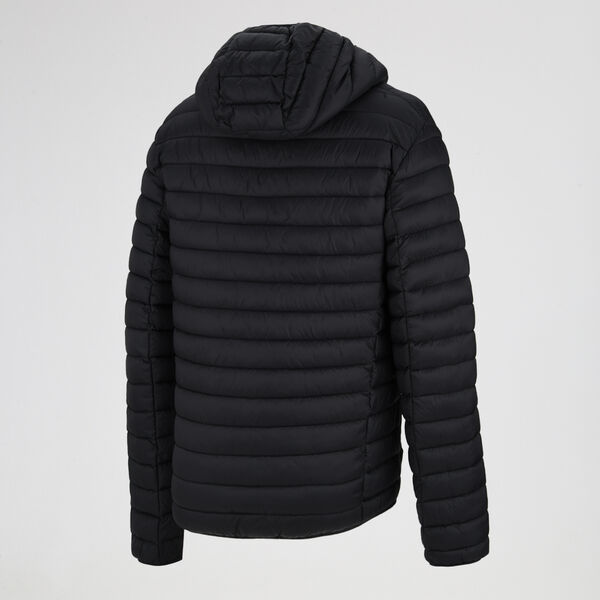 Campera Champion Acolchada Ligera Hombre