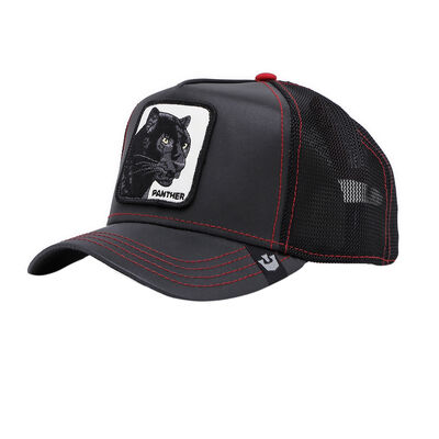 Gorra Goorin Baseball Pantehr Nights