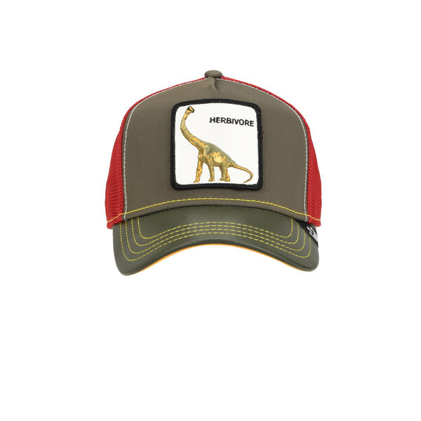 Gorra Goorin Thunder Lizard