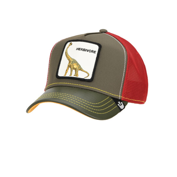 Gorra Goorin Thunder Lizard