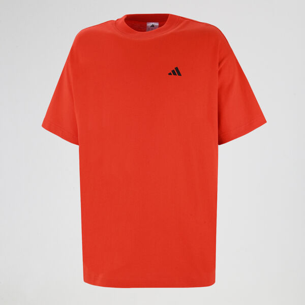 Remera adidas Anted GFX Hombre