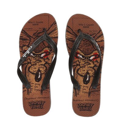 Ojotas Collab Looney Tunes Coyote