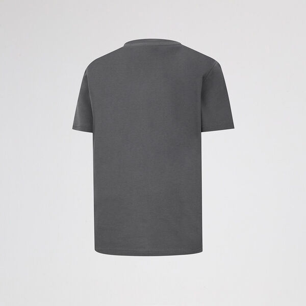 Remera Jordan Distressed Chrome Infantil