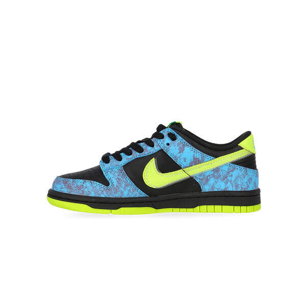 Zapatillas Nike Dunk Low Se 2 Niño