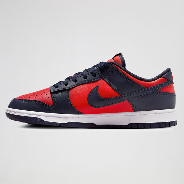 Zapatillas Nike Dunk Low Retro para Hombre
