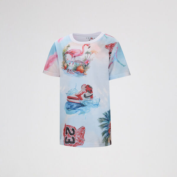 Remera Jordan Flamingo Niño