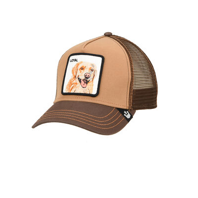 Gorra Goorin The Loyal Dog