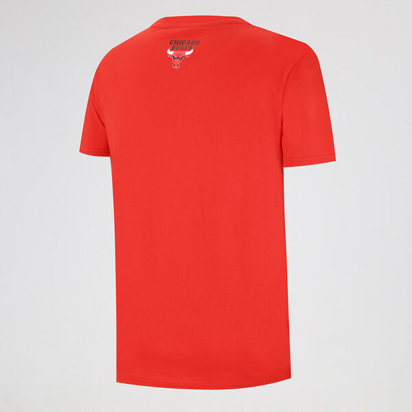 Remera NBA Chicago Bulls Hombre