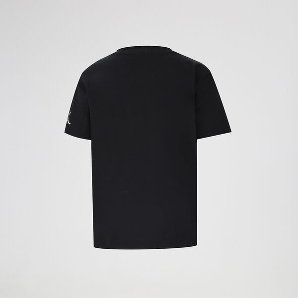 Remera Jordan Distressed Chrome Infantil