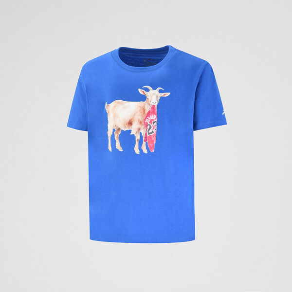 Remera Jordan MJ Flight Goat Crew Niño
