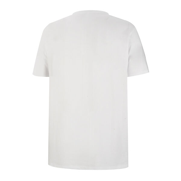 Remera Converse Daisy Hombre