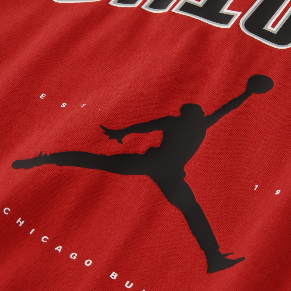 Remera Jordan Chicago Bulls Essential Hombre,  image number null