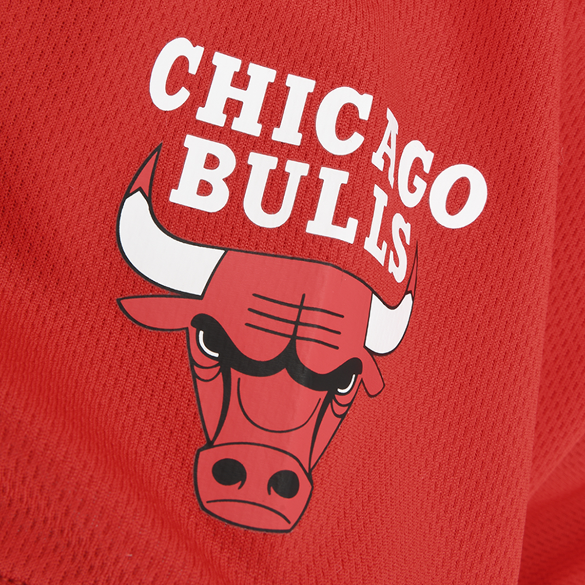 Remera NBA Primary Team Logo Basic Hombre,  image number null