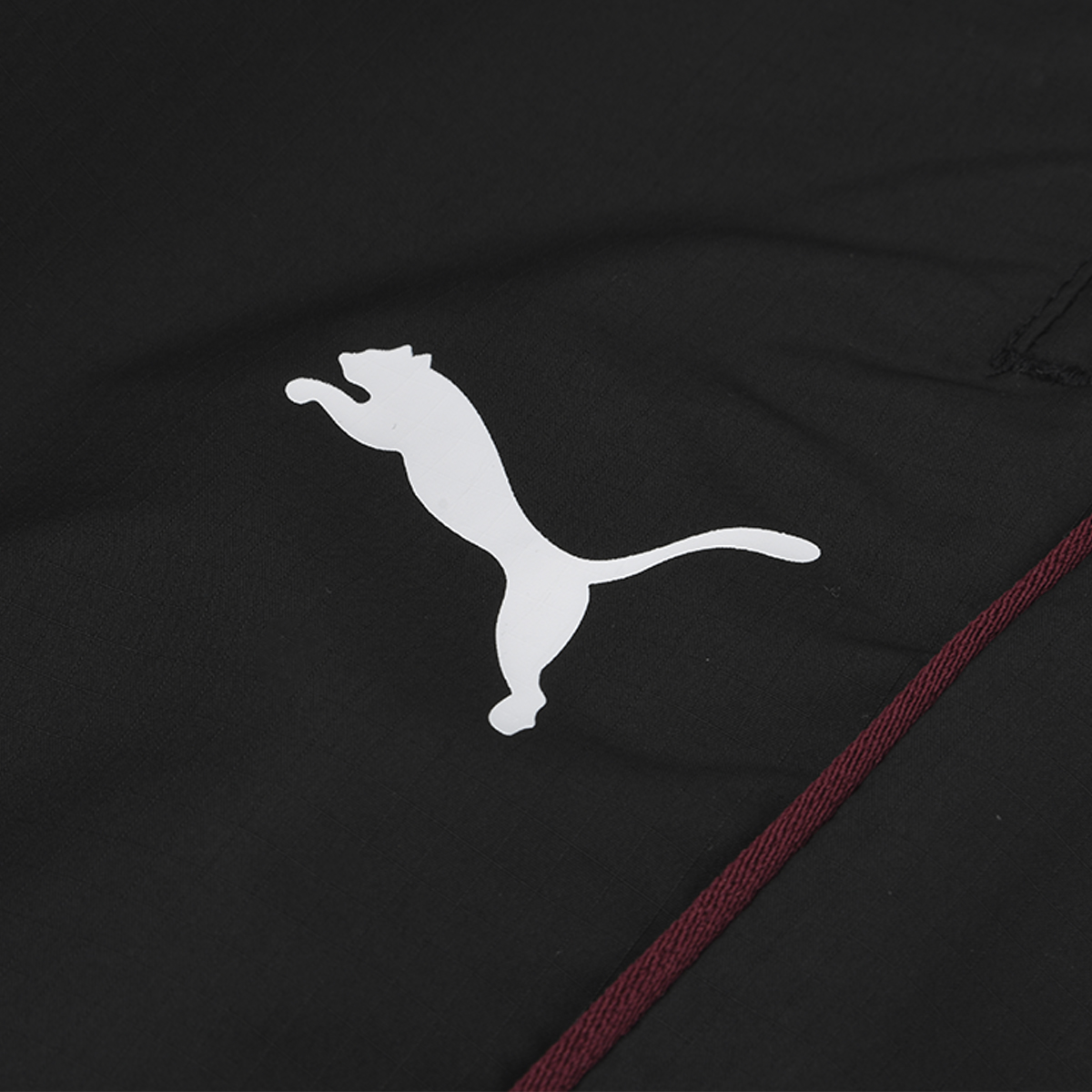 Pantalón Puma BMW MMS SDS 2.0 Hombre,  image number null