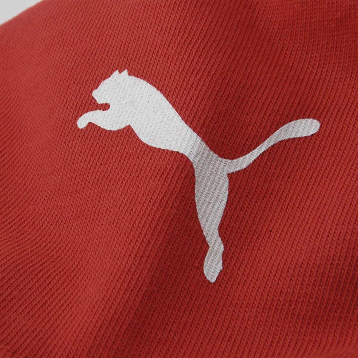 Remera Puma F1 Essentials Logo Hombre,  image number null