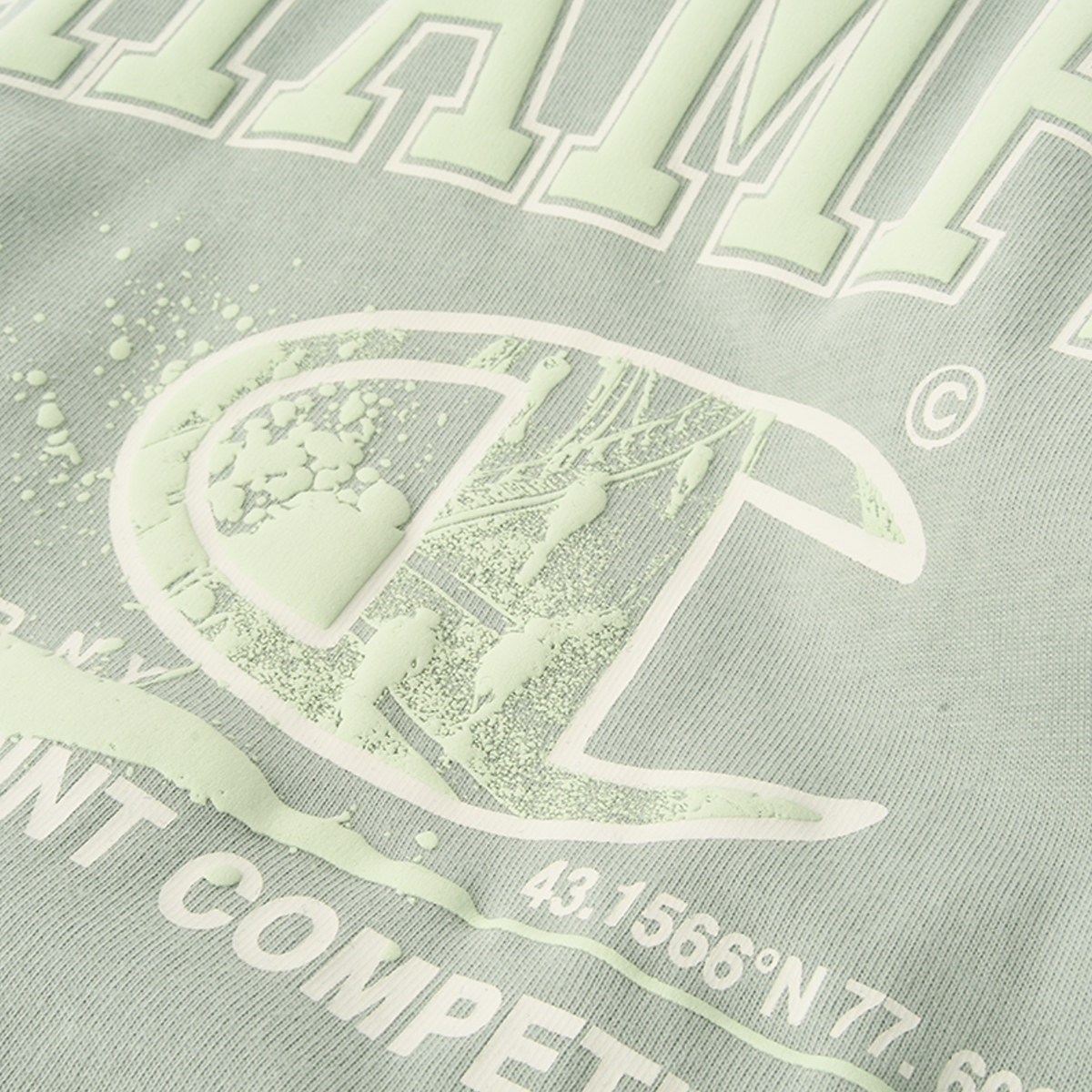 Remera Champion Gr&aacute;fica Puff Print Hombre,  image number null