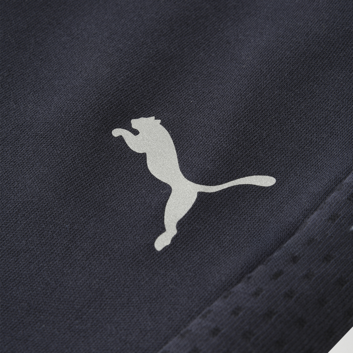 Pantal&oacute;n Puma Evostripe DK Hombre,  image number null