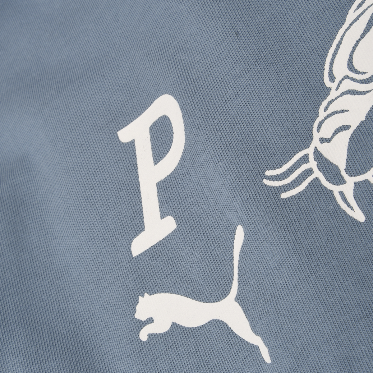 Remera Puma Graphic Card Play Relaxed Hombre,  image number null