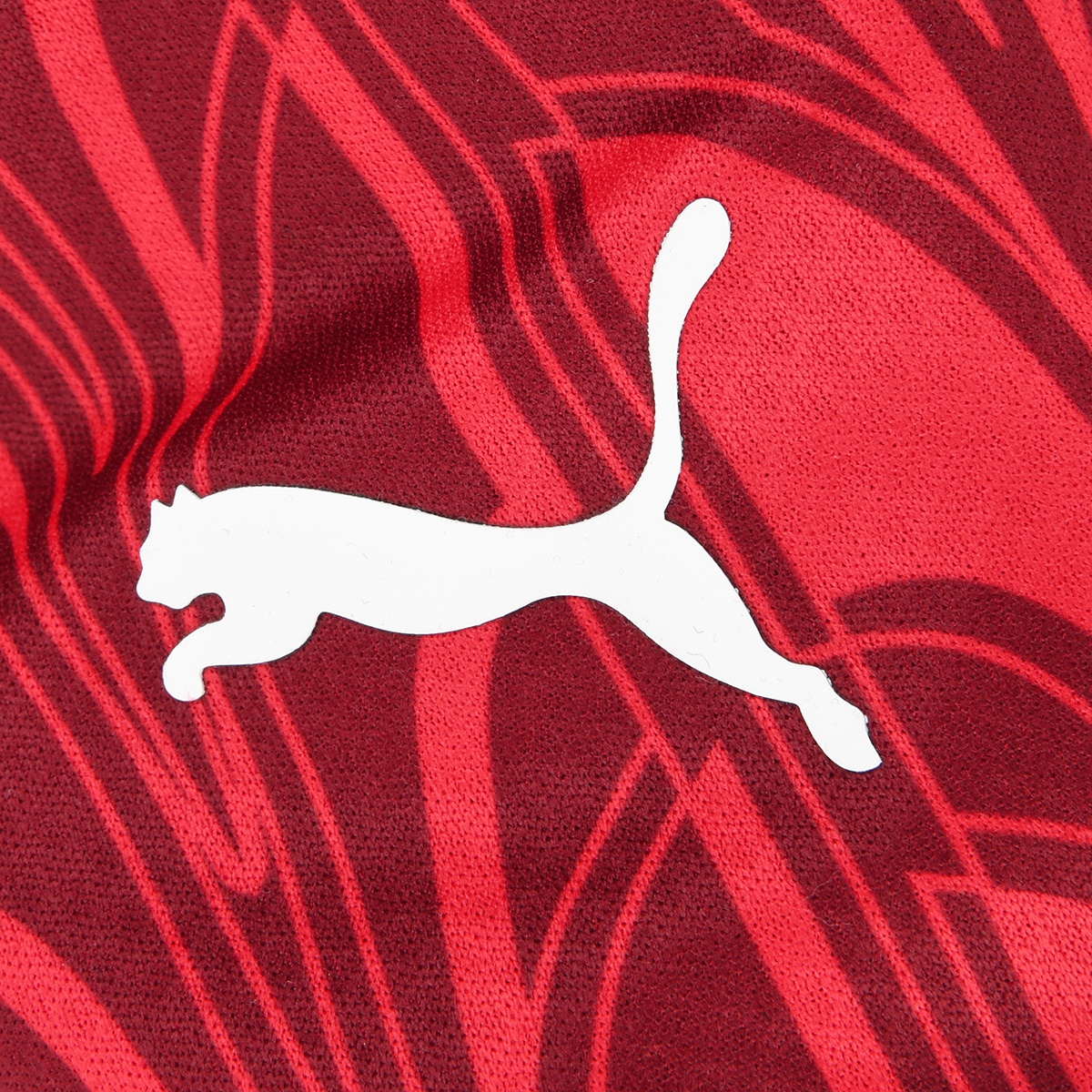 Camiseta Puma Long Sleeve,  image number null