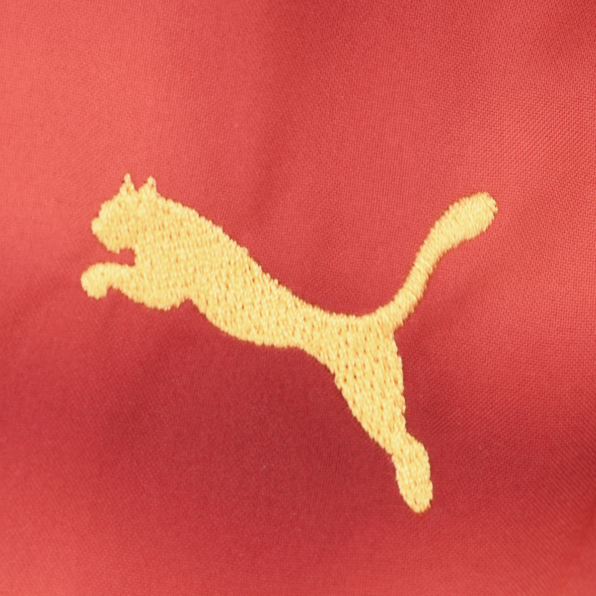 Pollera Puma Road To Unity Woven Midi Mujer,  image number null