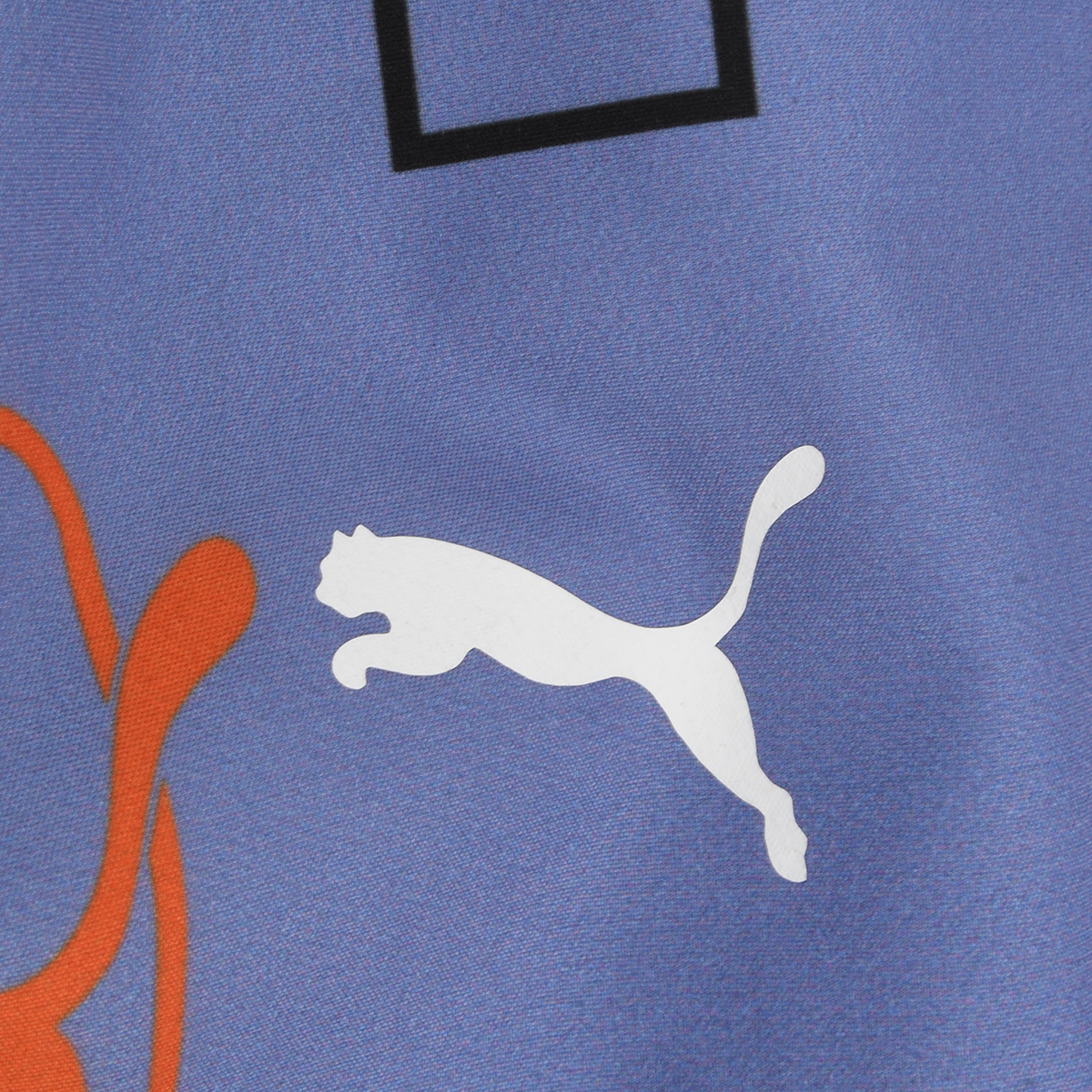 Traje De Baño Puma Swim Print Cat Hombre,  image number null