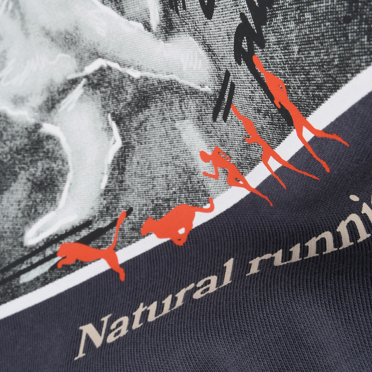 Remera Puma Club De Course Graphic,  image number null