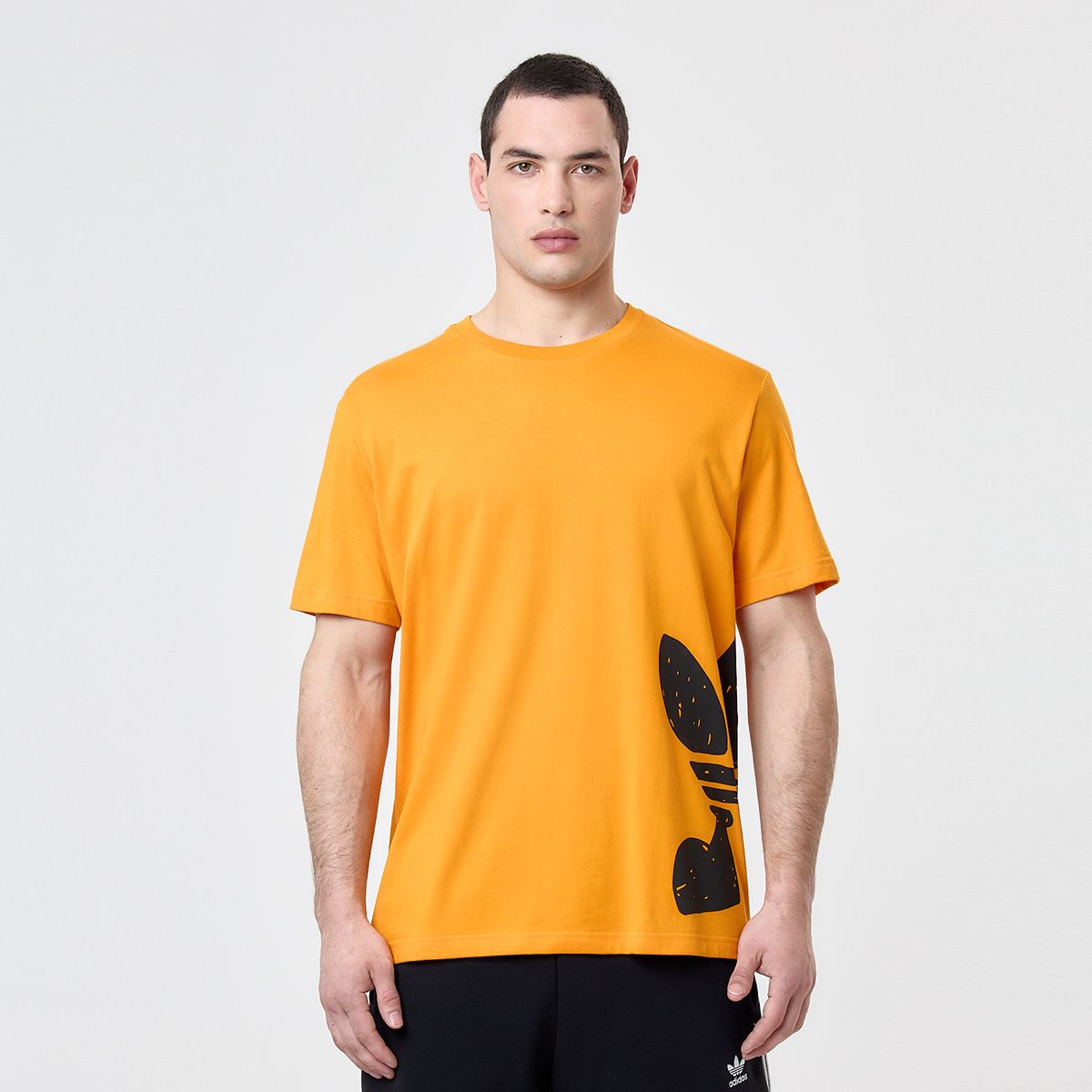 Remera adidas Ts Street 2 Hombre,  image number null