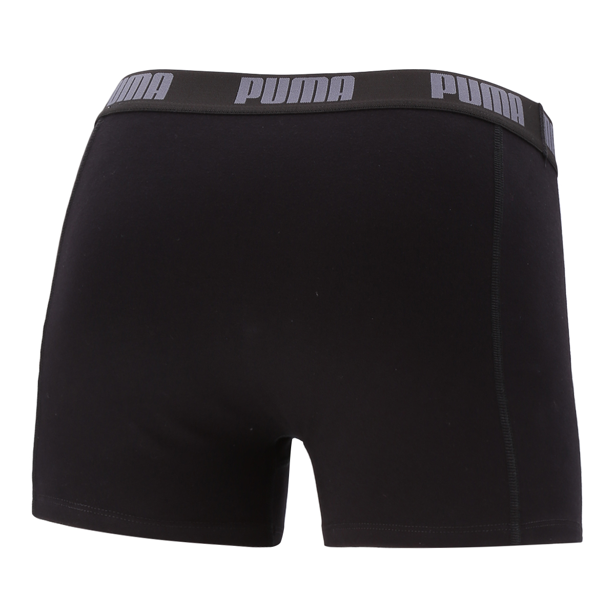 Boxer Puma Basic,  image number null