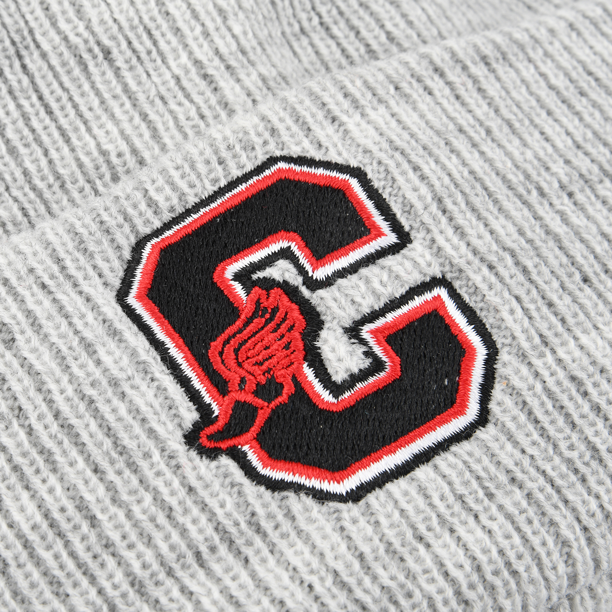 Gorra Champion Logo Bordado,  image number null