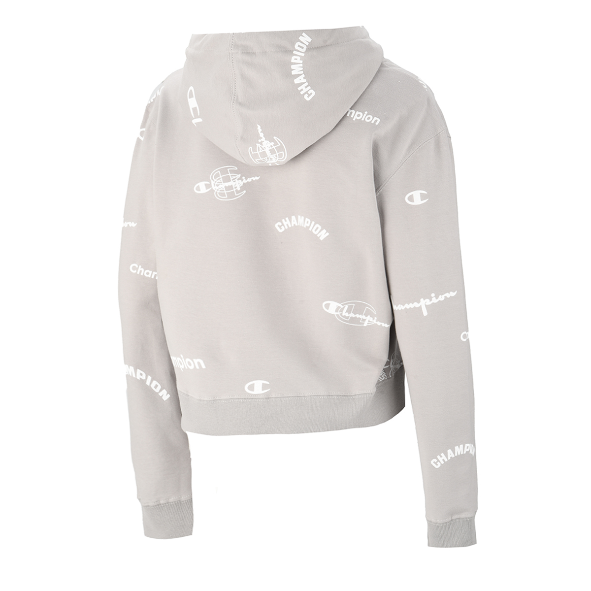 Champion reverse sale weave aop hoodie