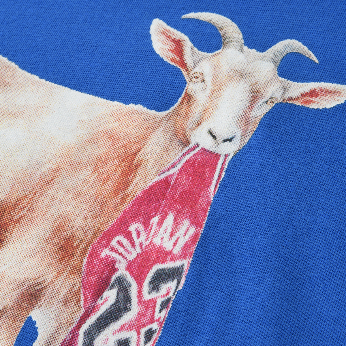 Remera Jordan MJ Flight Goat Crew Niño,  image number null