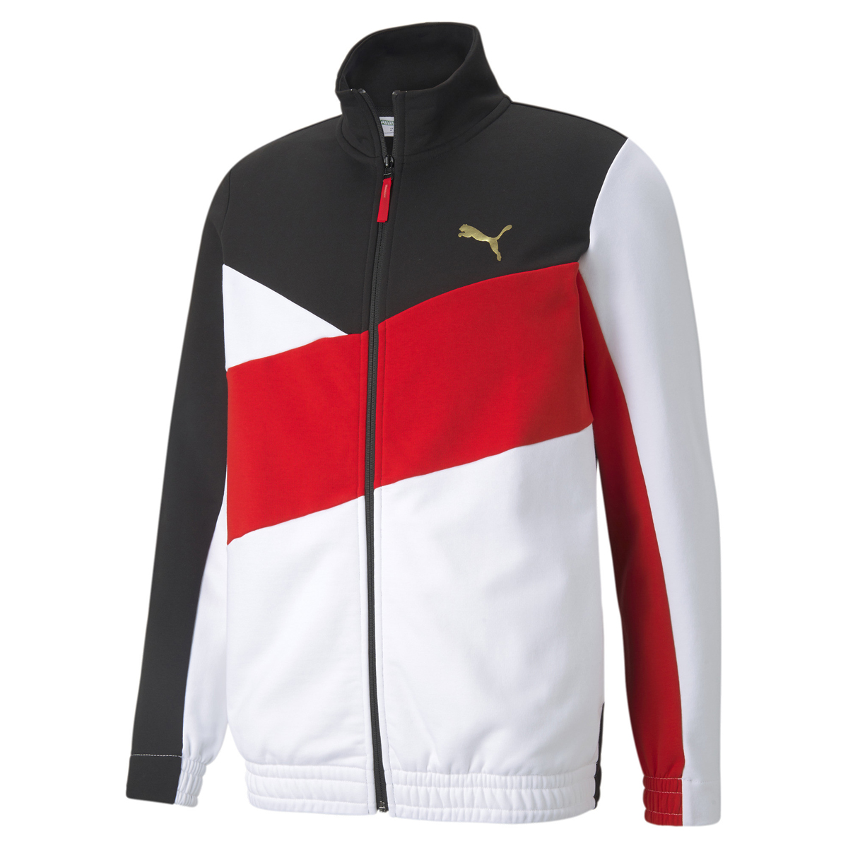 Campera Puma As Track Top Training,  image number null