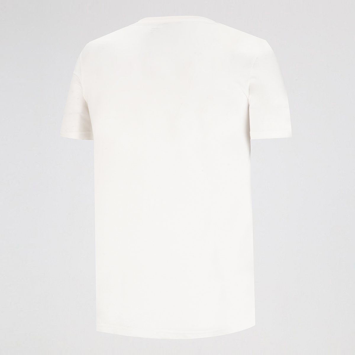 Remera Champion Classic Graphic de Hombre,  image number null