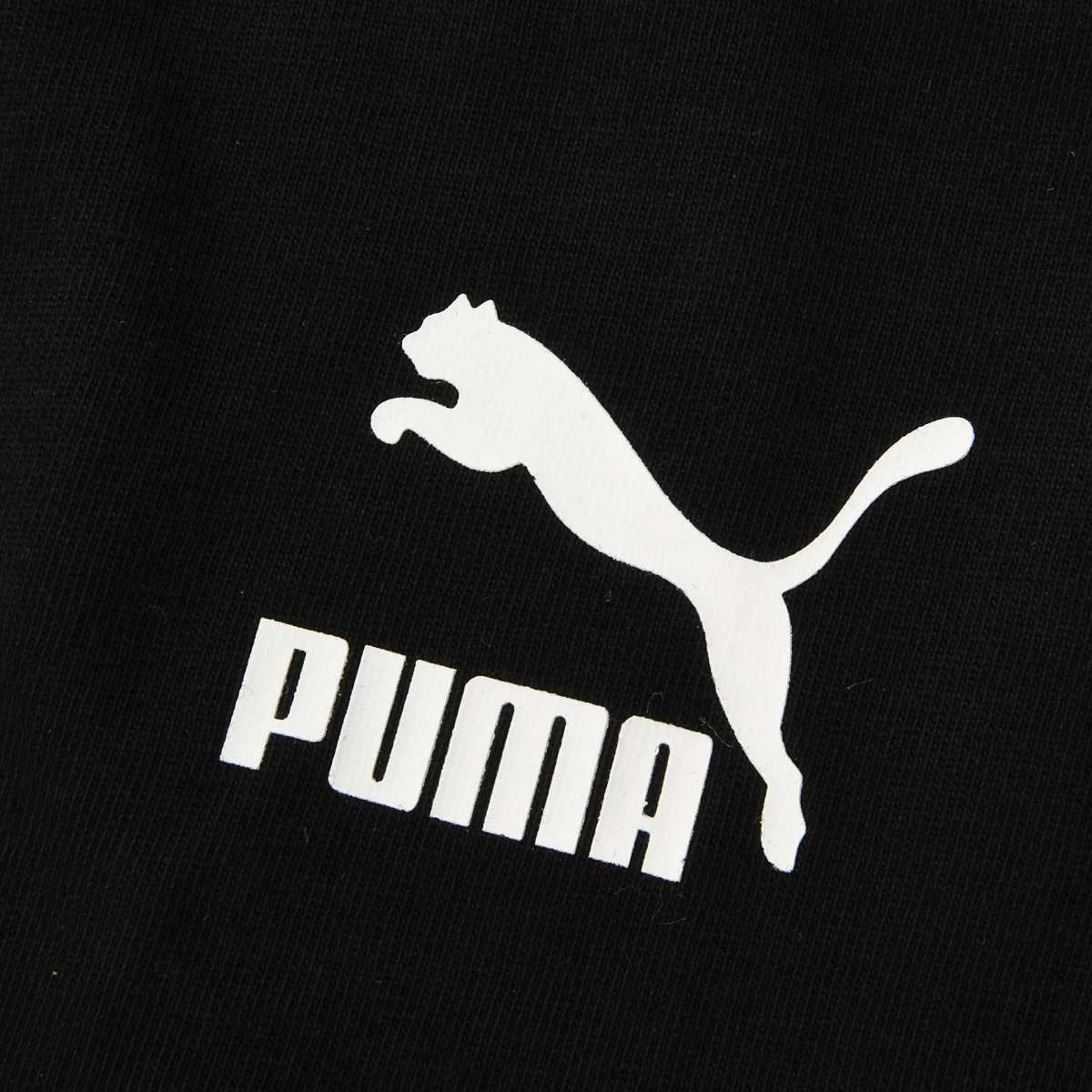 Remera Puma Classics Oversized T,  image number null