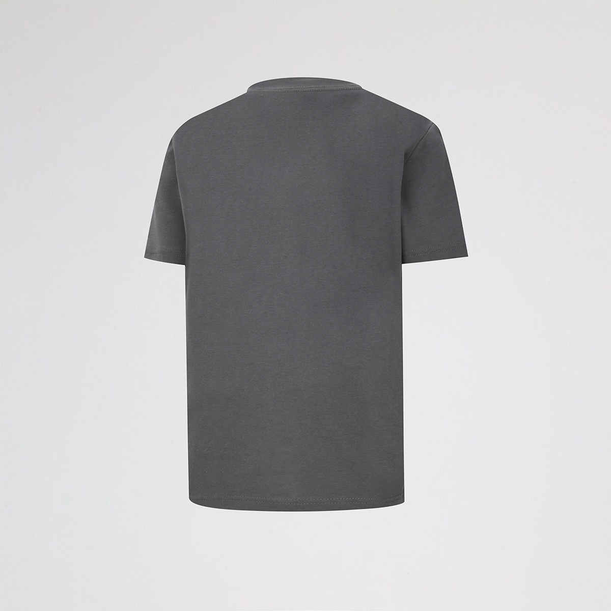 Remera Jordan Distressed Chrome Infantil,  image number null