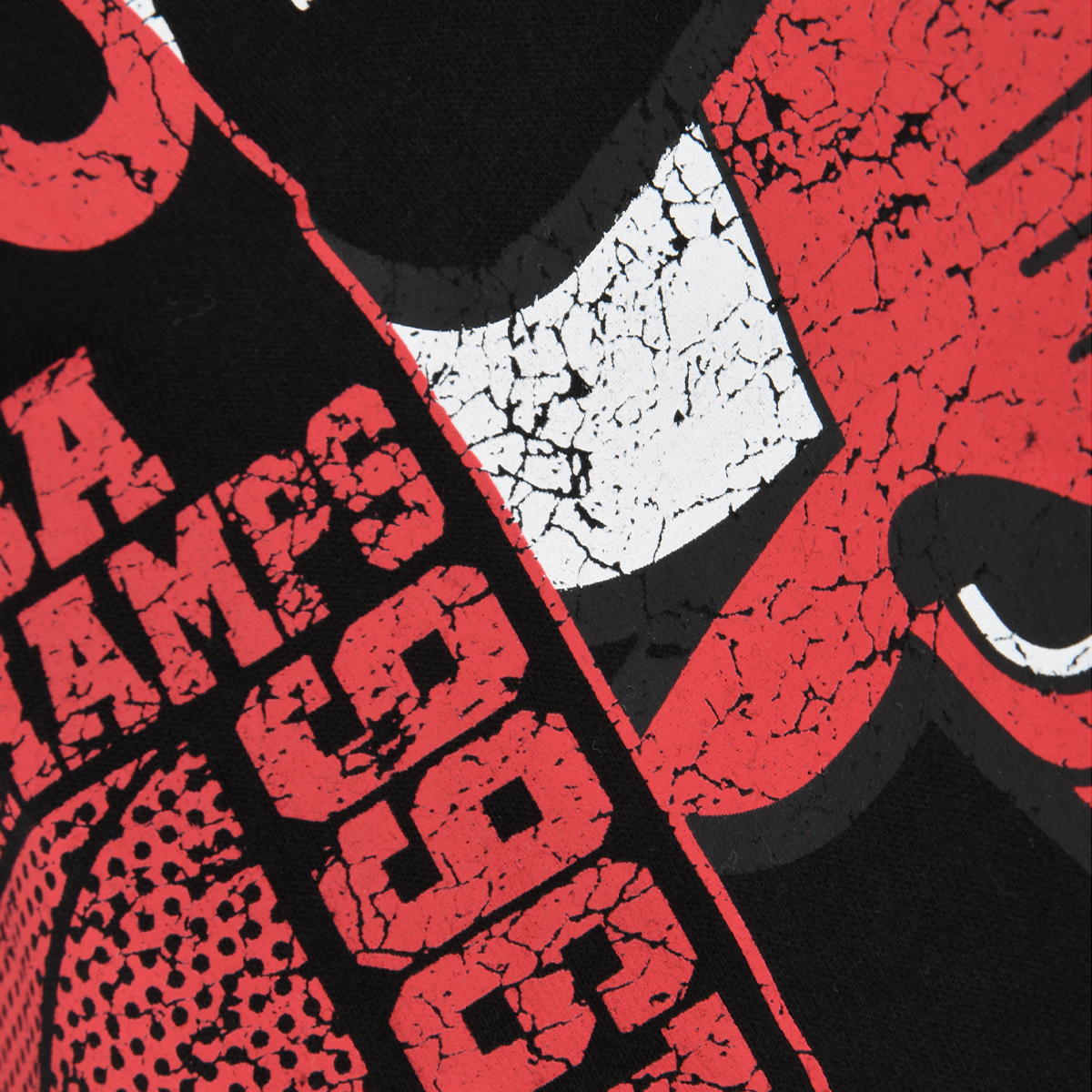 Remera NBA Crowns Regular Crew Chicago Bulls,  image number null